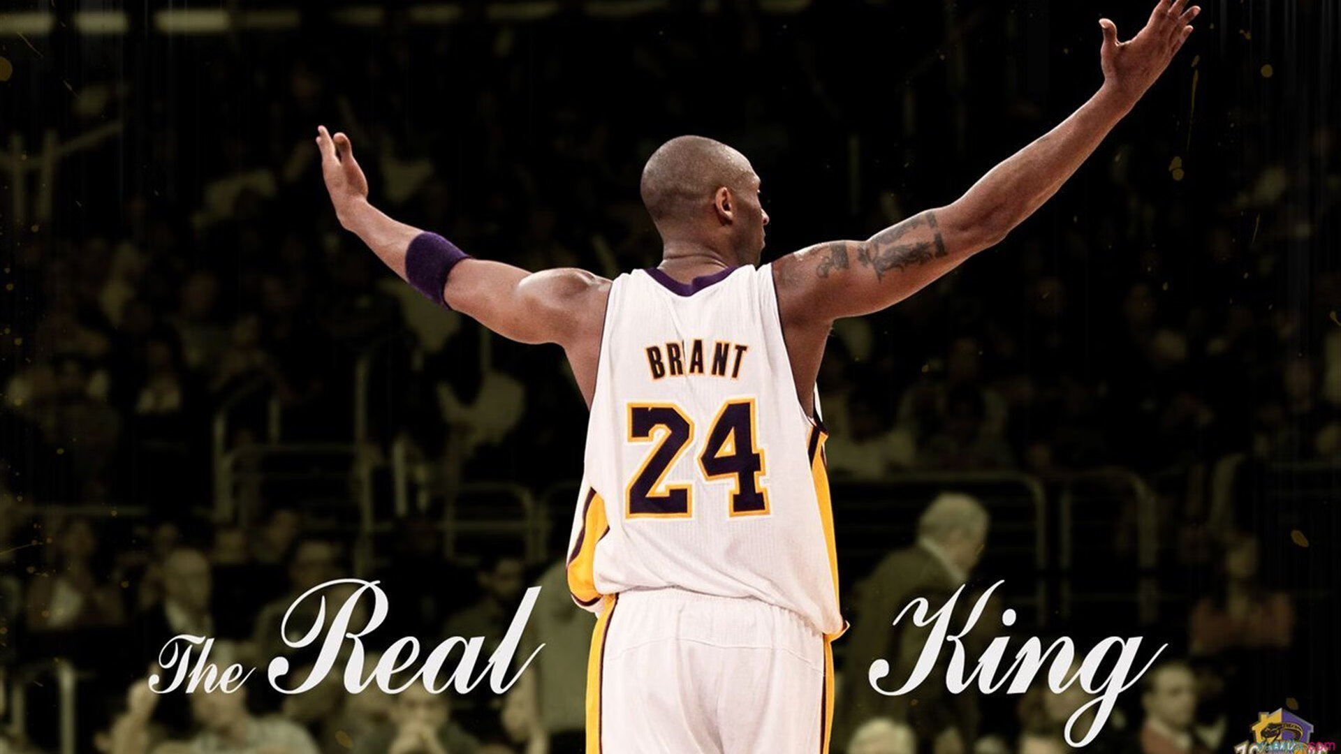 水球荷兰女队反击速度显优势，荷兰女子球迷